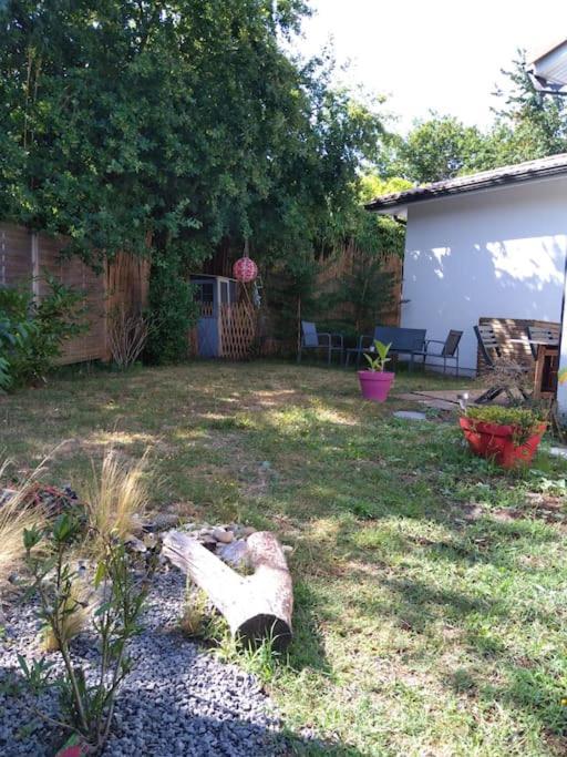 Petite Maison Avec Jardin Entre Lac Et Village Hourtin Exteriör bild