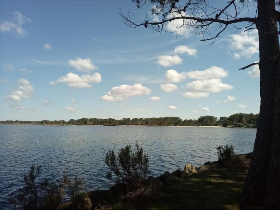 Petite Maison Avec Jardin Entre Lac Et Village Hourtin Exteriör bild