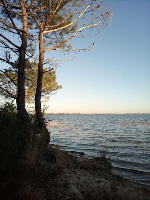 Petite Maison Avec Jardin Entre Lac Et Village Hourtin Exteriör bild